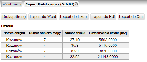 Raport podstawowy - przykład